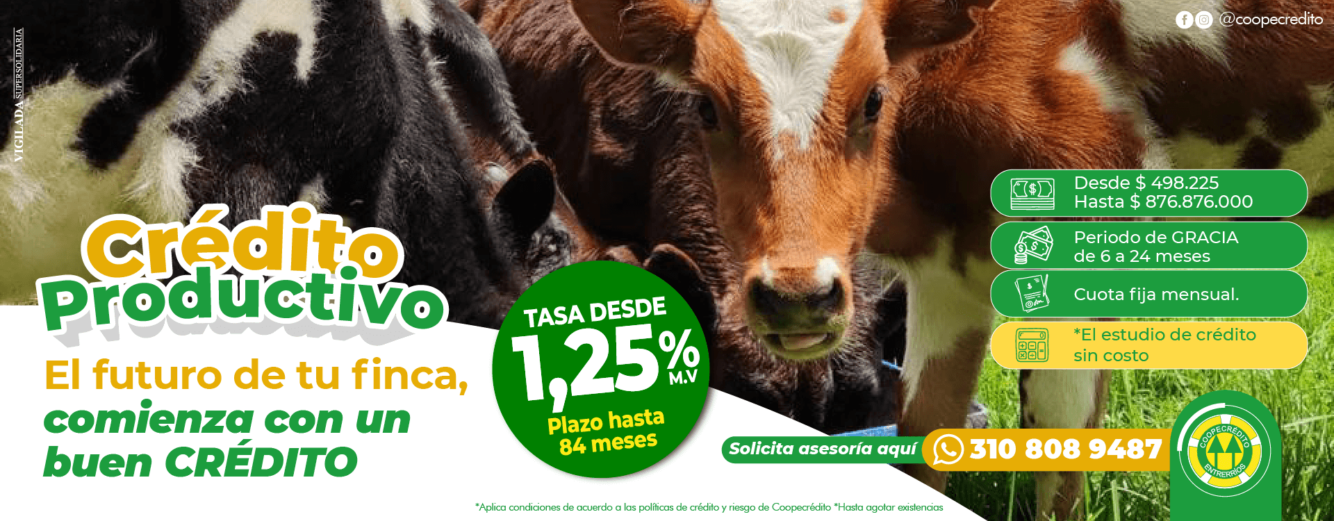 BANNER WEB GANADERIA