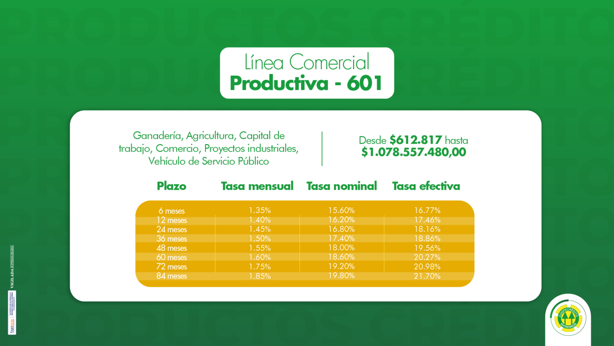 601 - Línea Productiva